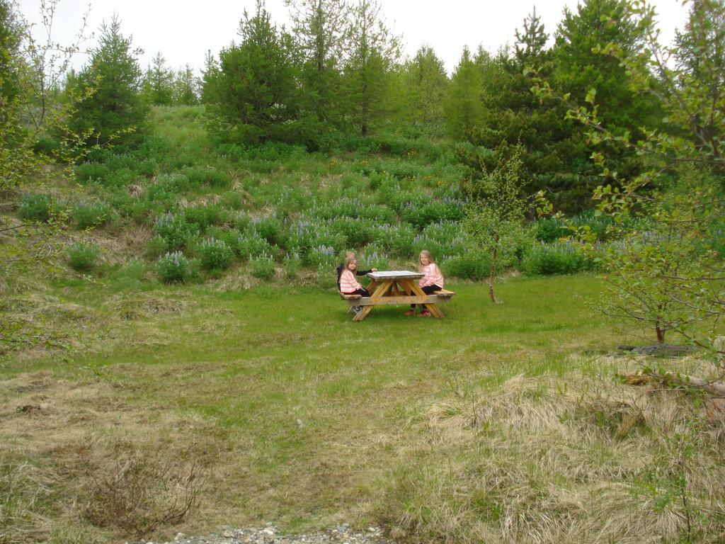 Vinland Camping Pods Egilsstaðir Cameră foto